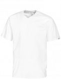 T-shirt BP V-hals 1618