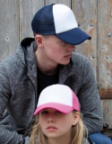 Pet Result Detroit 1/2 Mesh Truckers Cap