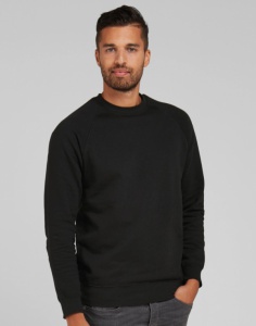 Sweater SG Raglan Men's basic