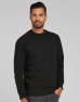 Sweater SG Raglan Men's basic