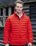 Heren Jas Result Ice Bird Padded